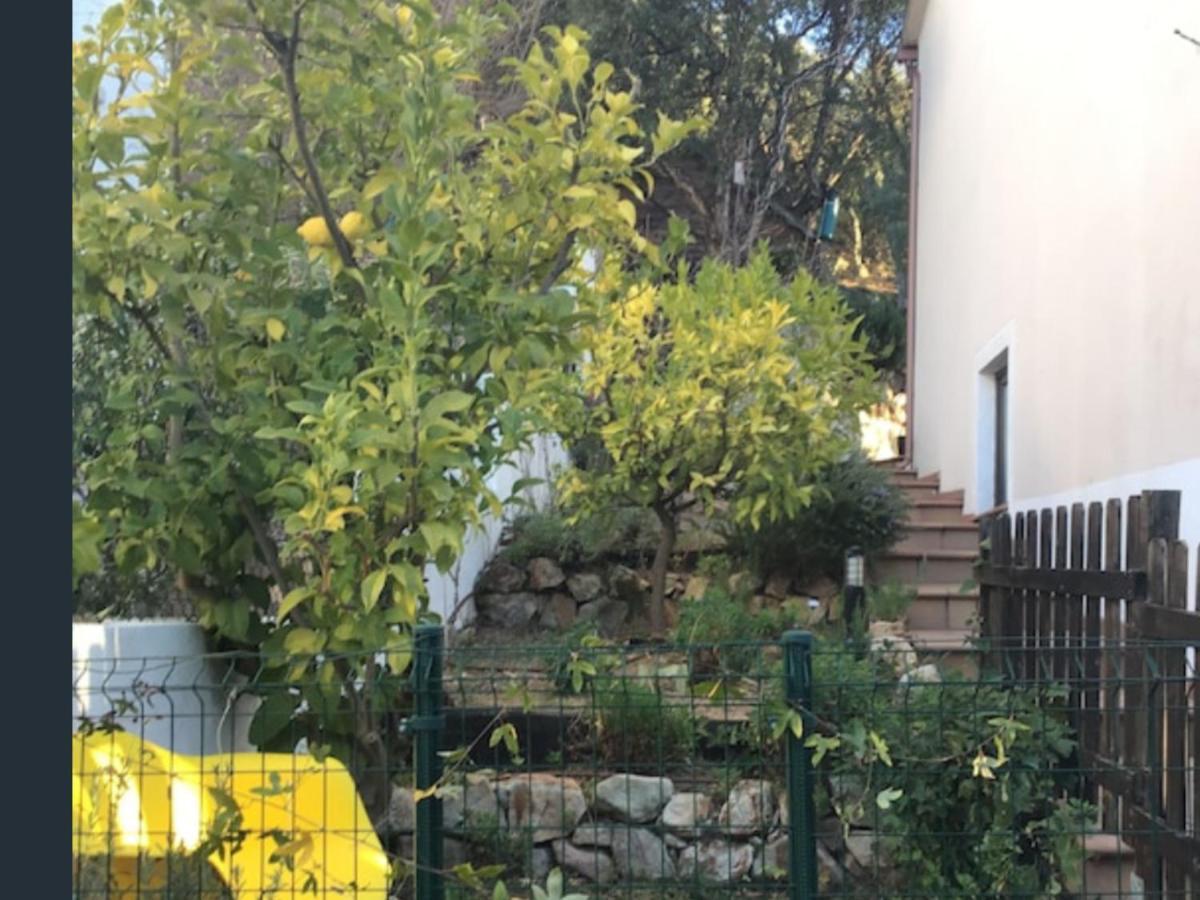 Apartamento Sunny Costa Brava Getaway Santa Cristina d'Aro Exterior foto